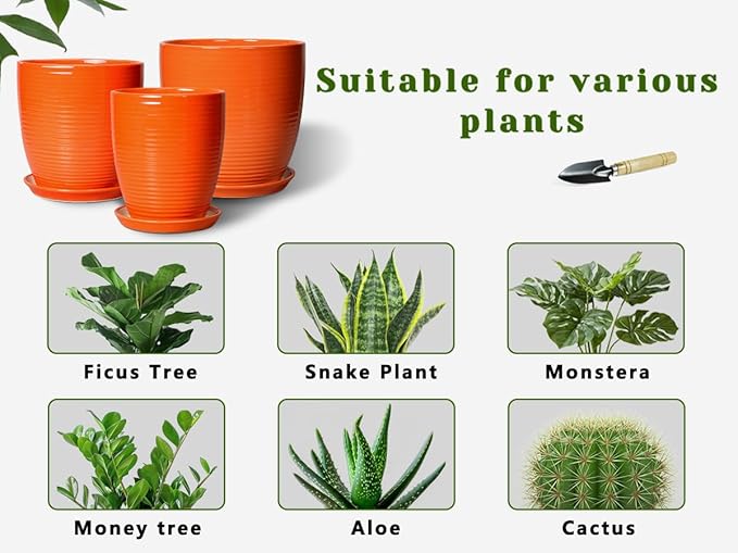 Ceramic Planter - 10 Inch Plant Pot for Indoor Outdoor, Modern Planters with Drainage Hole and Saucer, Round Large Plant Pot, Patio Room House Decor, House Warming Gifts, Orange