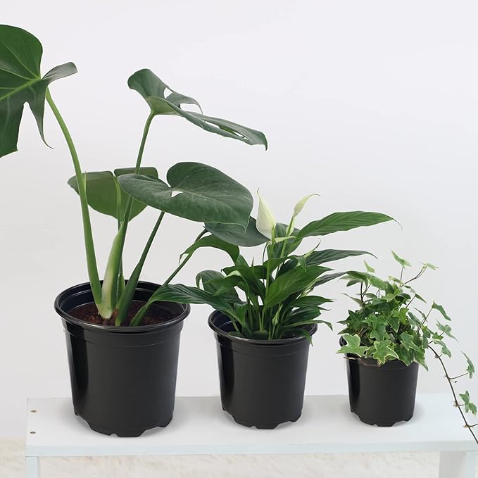 RAOOKIF 100 Pack Nursery Pots, 4 5 6 Inch Nursery Pot for Plants, Plastic Plant Pots with Drainage Holes, Garden Flower Pots for Transplanting, Succulents, Cuttings, Seedlings(6inch,100pcs)