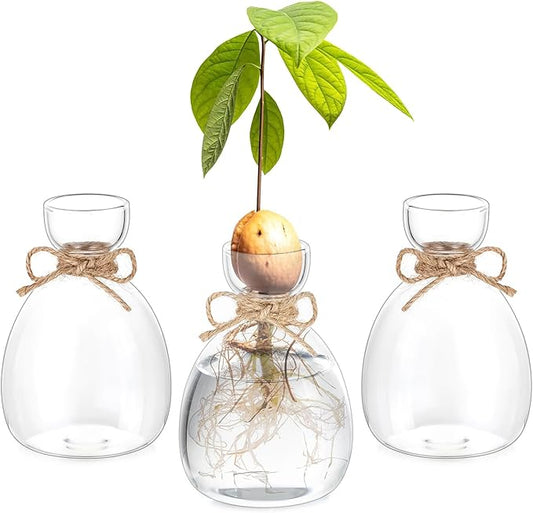 Hewory Avocado Seed Starter Vase: 3 Pcs Glass Avocado Tree Growing Kit Pot for Indoor Plant - Rustic Acorn Vases for Plant Gardening Lovers