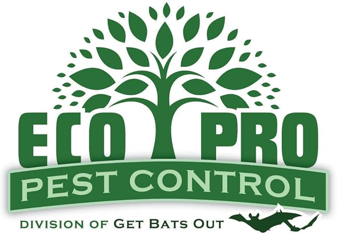 Rat Snap Traps by Eco Pro Pest Control | 6-Pack Snapping Rat Traps with Teeth | Reusable Rodent Trap for Indoor & Outdoor Use | Easy Set Up, Quick, & Powerful Rat Trap with a No-Escape Rat Trap Snap