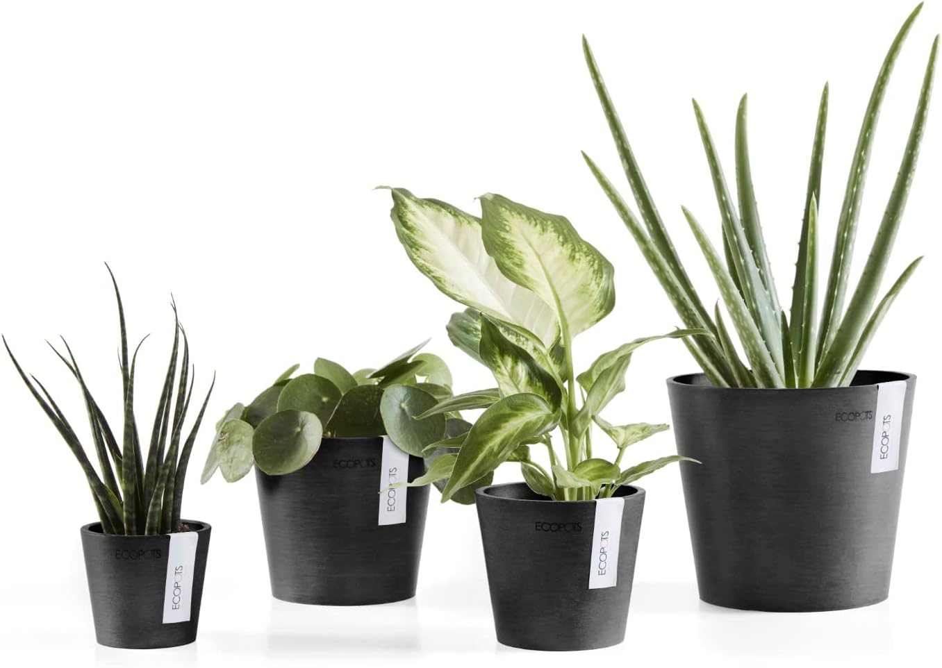 Ecopots Amsterdam Mini Durable Modern Round Recycled-Based Composite Flower Pot Planter, Dark Grey, 3"