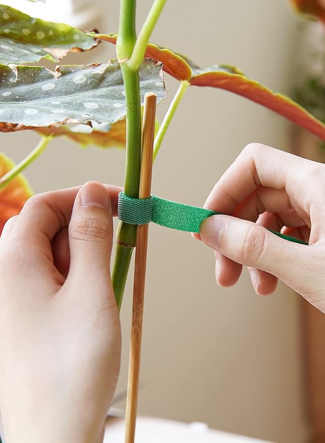 LE TAUCI Plant Ties, Garden Tape for Plant, Reusable Adjustable Thicker Support for Growing, Strong Grip, Tomato Vines Indoor Outdoor, 100 ft (2 roll 50ft) x 0.47 Inch, Green