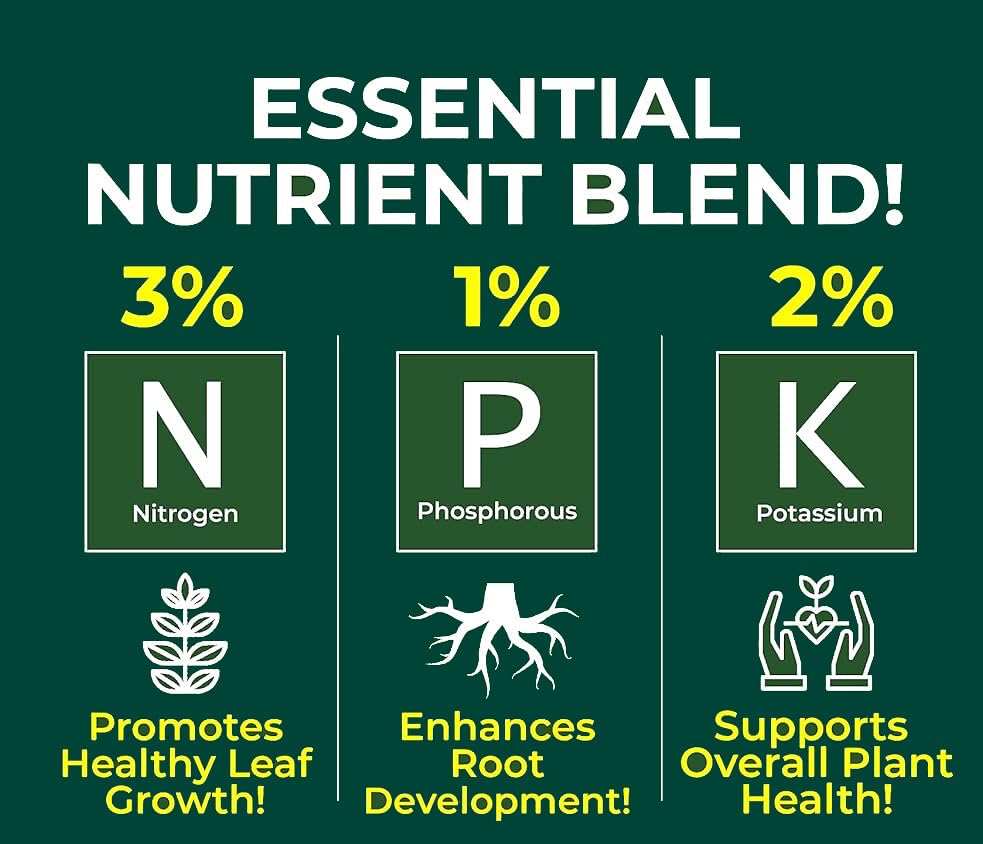 Professional Money Tree Spray Fertilizer Mist for Home Gardening | 3-1-2 Gentle Blend Mist for Healthy Leaves & Growth | Essential Nutrients for Money Tree - 8oz