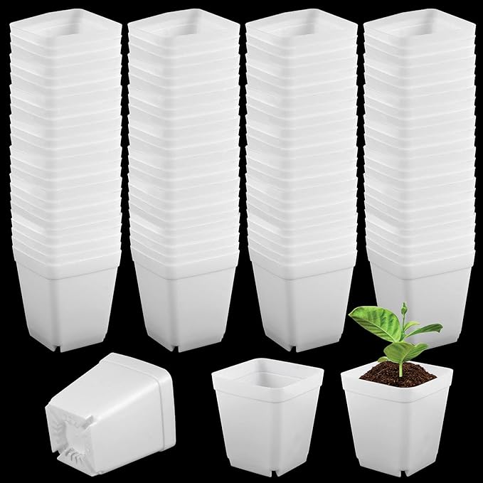 HOIGON 100 Pack 3 Inch White Square Nursery Pot, Durable Thickened Plastic Nursery Pots with Drain Holes, Small Square Planting Containers for Flower Tomatoes Basil