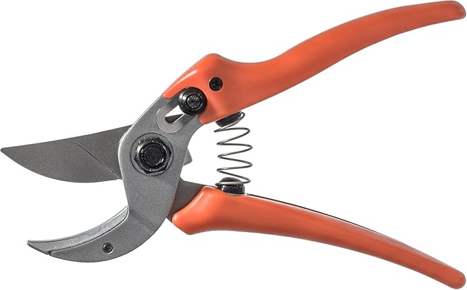 Original LÖWE 15 Anvil Pruning Shears 15.107 with Bypass Geometry for Small to Medium Hands - Curved, Non-Stick Coated Blade Ideal for Cutting Hard Wood like Linden, Spruce, Larch, and Oak