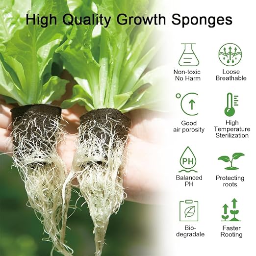 50 Pack Grow Sponges Square Sponge Replacement Part Seedling Starter Sponges for Hydroponic Indoor Garden System Cuttage Rooting Germination Kits