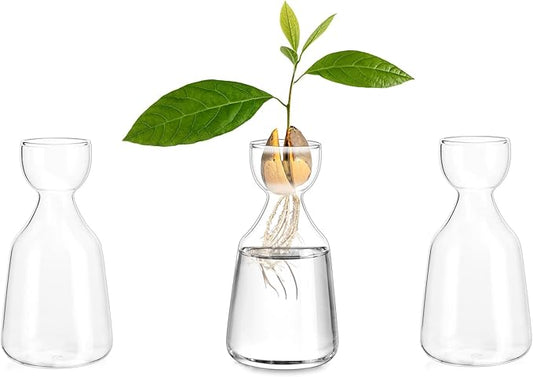 Glasseam Glass Avocado Vase: Acorn Vase for Bulb Growing Set of 3 Clear Small Bud Vases for Home Decor Hydroponic Plant Propagation Jar for Flowers Stems Clippings