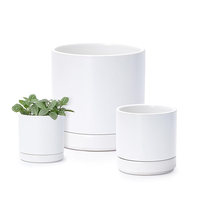 D'vine Dev 3 Inch & 4 Inch & 6 Inch, Set of 3 Round Ceramic Planter Pot with Drainage Hole and Saucer, White, 94-T-S-1