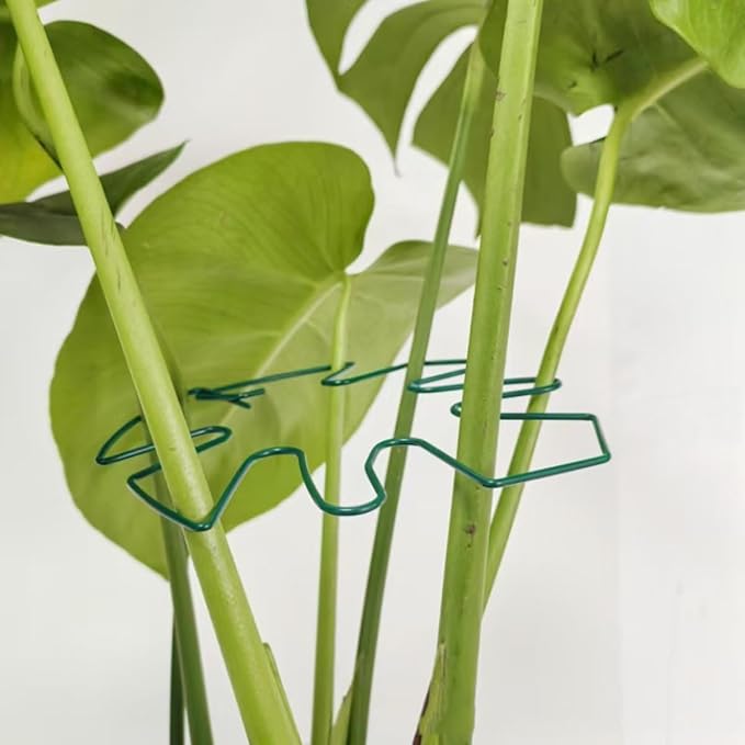 ZYAMY 6PCS Plant Hook Stem Fixing Bracket Turtle Shell Bamboo Clip Potted Plant Stem Straightening Support Green Plant Anti Fall Support Iron Bending Buckle Leaf Styling Green Used for Gardening