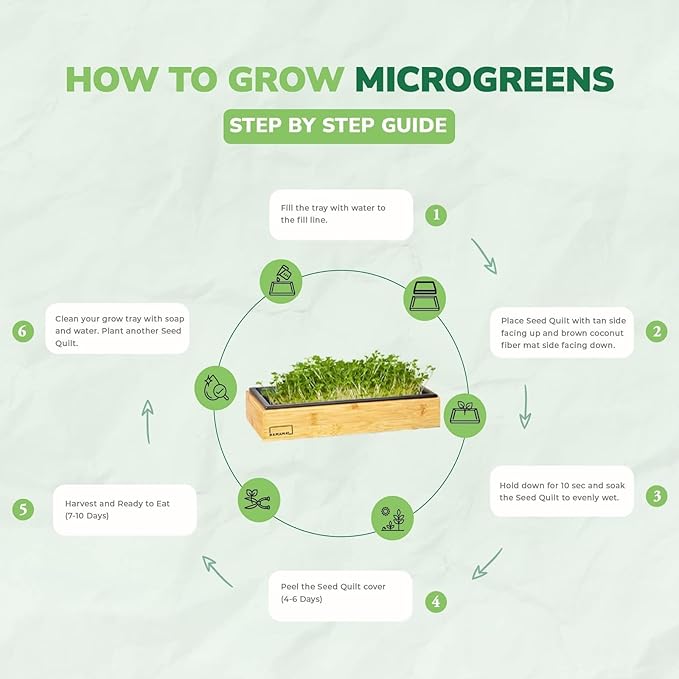HAMAMA Microgreens Growing Kit Broccoli & Salad - Indoor Sprouts Mat - Seed Quilts Easy Setup Pack of 2 - Plastic Tray and Bamboo Frame