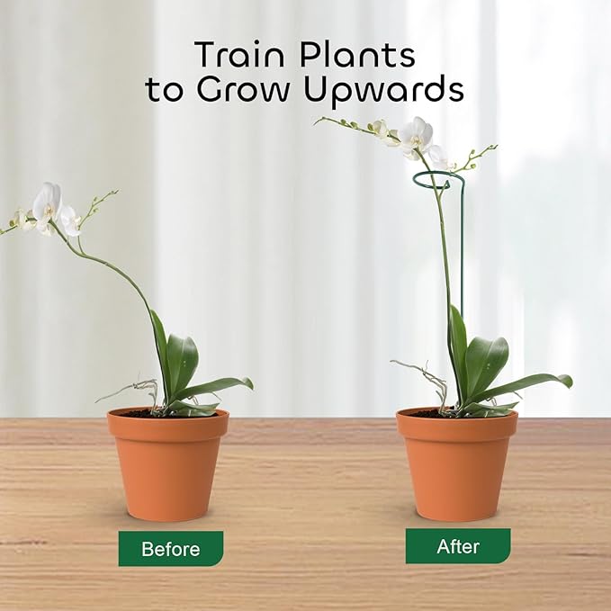 GROWNEER 24 Packs 24 Inches Plant Support Stakes, with 15 Pcs Plant Labels, Garden Single Stem Flower Support Stake, Plant Cage Support Rings for Flowers Amaryllis Orchid Peony Lily Rose