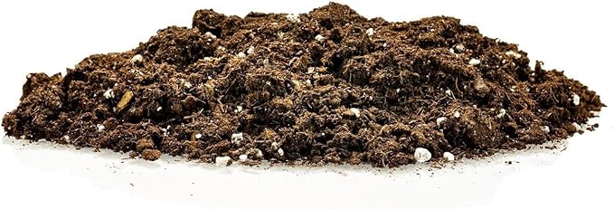 Premium Dracaena Potting Soil Mix - (4 Quart Bag)