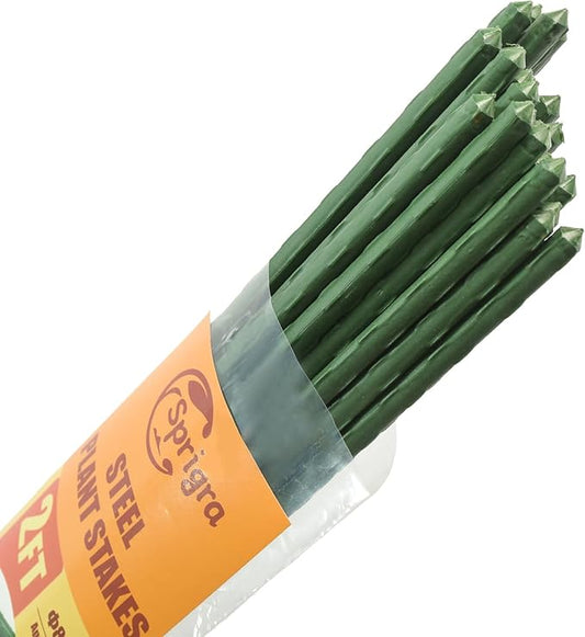 Plant Stakes 24 inch, 2ft Steel Garden Stakes 30 Pack, Sturdy Plant Support for Climbing Plants, Tomatoes, Beans, Cucumbers, Peppers, Flowers, Potted, Strengthen and Stem to Grow Better