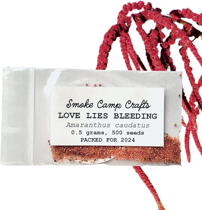 Organic Love Lies Bleeding Seeds (Amaranthus caudatus) 500 Seeds (0.5 Grams) - Foxtail Amaranth, Love-Lies Bleeding, Tassel Flowe, Velvet Flower, Gorgeous Unique Cut Flower by Smoke Camp Crafts