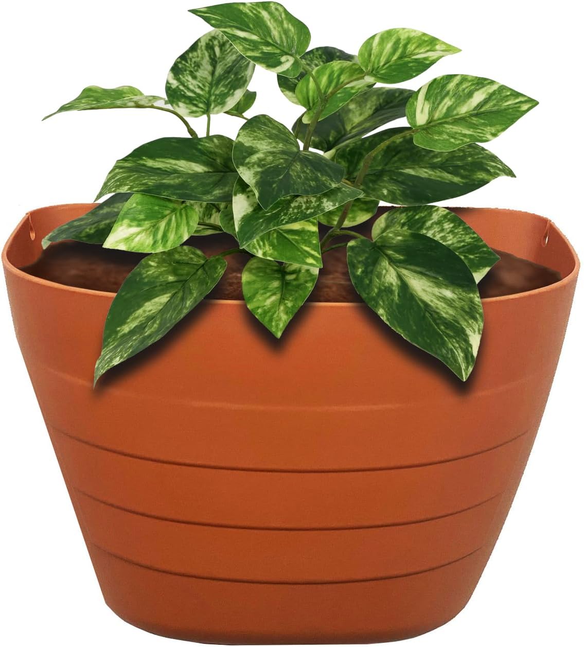 Terracotta Wall Planter – Self-Watering Hanging Garden Planter Indoor & Outdoor, 12 Inch Pot with Planter Grid for Flowers, Vegetables & Herbs – UV-Resistant, BPA-Free