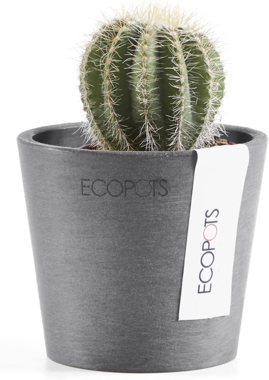 Ecopots Amsterdam Mini Durable Modern Round Recycled-Based Composite Flower Pot Planter, Grey, 3"