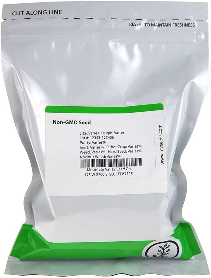 Blue Lake Bush Bean 274 Seeds - 4 Oz - Non-GMO, Heirloom, Open Pollinated - Vegetable Garden Seeds - Green String Beans