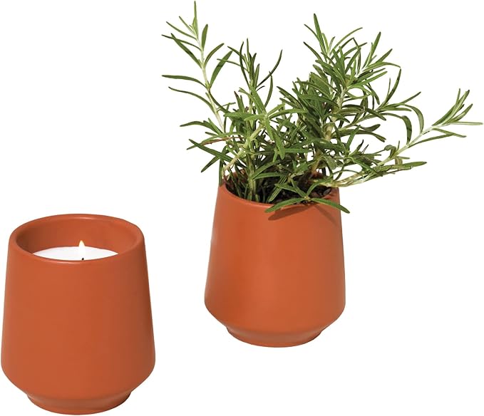 Modern Sprout Rooted Candle - 2 in 1 Cucumber Scented & Soy Candle with Seeds That Grows into Rosemary Plant - 6 oz w/ 42 Hr Burn Time in Matte Glaze Ceramic Vessel Ideal for Indoor Herb Garden