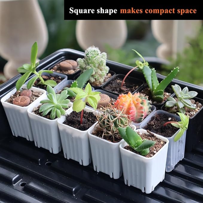 BangQiao 300 Pack 1.55 Inch Tiny White Plastic Square Nursery and Seedling Pot, Mini Transplant Seed Starter Planter with Drain Hole for Germination, Herb, Succulent