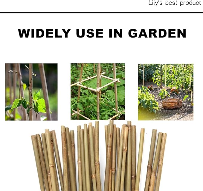 HOPELF 50 Pack 2ft Bamboo Plant Stakes for Wood Garden Sticks，Wooden Plant Supports，Bamboos，Bamboo Trellis，Crafts, More Size Choices 8"/12"/16"//2'/3'/4'/5'/6'
