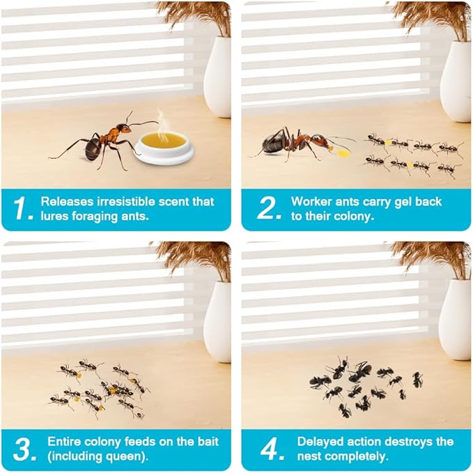 32 Pack Ant Killer Gel Bait, Long Lasting Indoor & Outdoor Ants Bait for Effective Ant Control, Safe & Easy to Use Pest Control for All Common Household Ants, Mess-Free Gel Stations