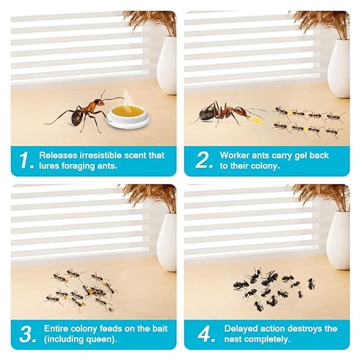 64 Pack Ant Killer Gel Bait, Long Lasting Indoor & Outdoor Ants Bait for Effective Ant Control, Safe & Easy to Use Pest Control for All Common Household Ants, Mess-Free Gel Stations