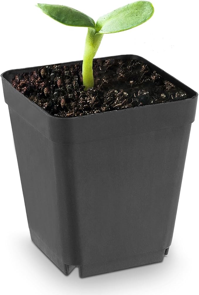 120 Pieces 2.7 Inch Plastic Square Nursery Pot, Transplant Planting Pots Greenhouse Supplies, Durable Plastic Flower Pots for Seedlings Black