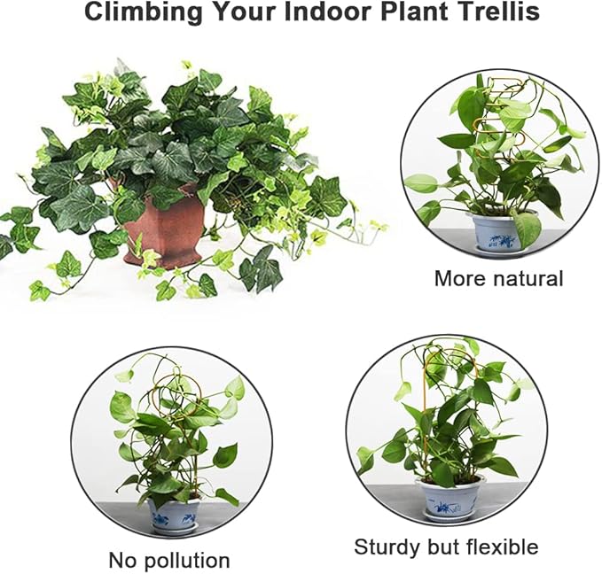 Small Metal Trellis for Potted Plants, 3 Pcs Gold Trellis for Climbing Plants Indoor, Plant Support Stake Mini House Plant Trellis for Hoya, Flower, Pothos, Monstera