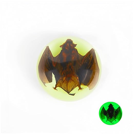 Real Bat Specimens, Resin Animal Specimens, Animal Skulls, Quirks, Biology, for Animal Specimen Enthusiasts, Science Classroom Science Education (Luminous Bat 3.5x3.5x1.5 inch)