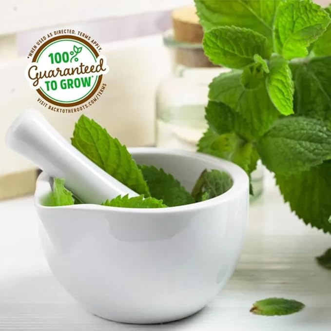 Wellness Grow Kit: Lemon Balm