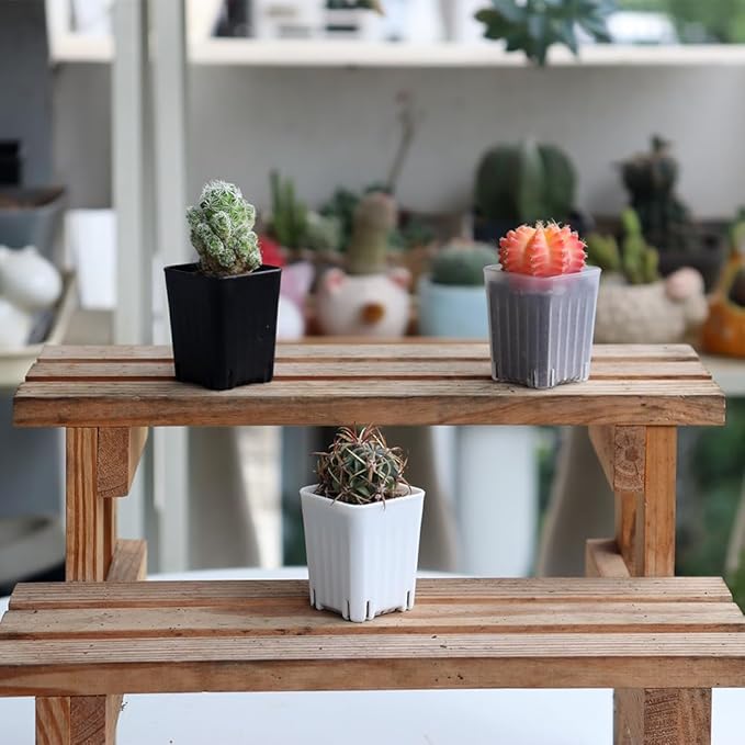 BangQiao 300 Pack 1.55 Inch Tiny White Plastic Square Nursery and Seedling Pot, Mini Transplant Seed Starter Planter with Drain Hole for Germination, Herb, Succulent