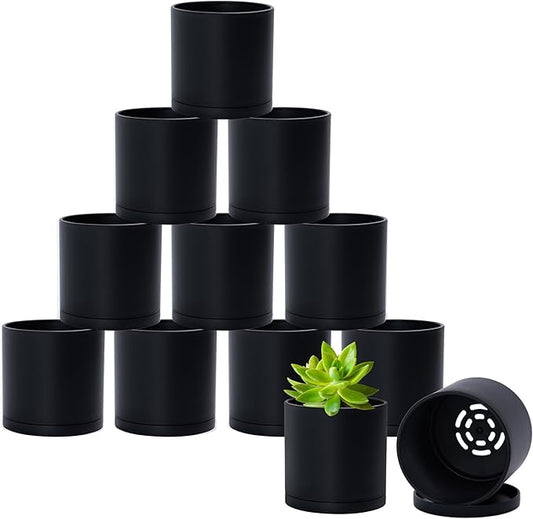 D'vine Dev 12 Pack 3 Inch Mini Plastic Plant Pots, Small Garden Planters for Plant with Drainage Holes and Saucers, Black Color, 74-Y-C-4