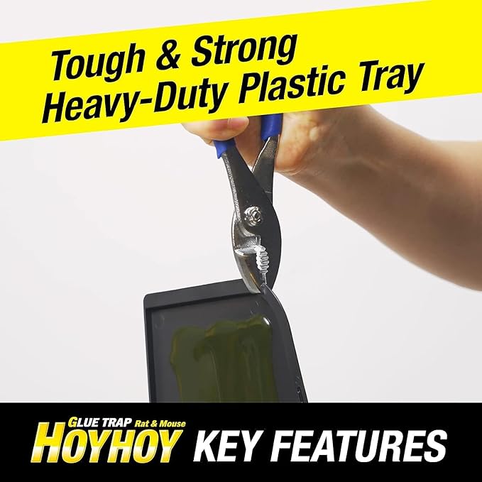 HOY HOY Regular Size Rat & Mouse Indoor/Outdoor Glue Trap (4 Pack)