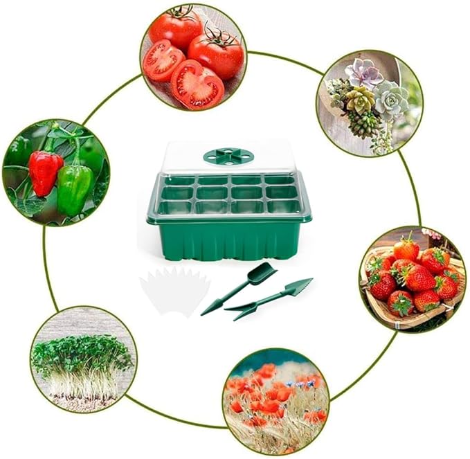 3 Pack Seed Starter Tray with Humidity Dome and Base (36 Cells Total), Plant Germination Kit for Seeds Growing Starting, Mini Seedling Propagator Small Greenhouse, Reusable Garden Supplies