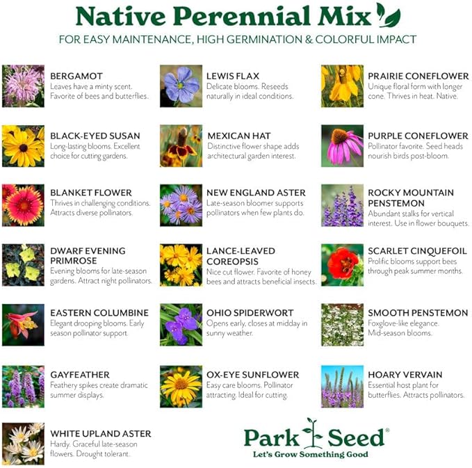 Park Seed Grow Your Own Vibrant Perennial Wildflower Garden Seeds Mixture, Easy to Grow Varieties for Pollinators and Spring Gardens - Native Perennial Mix, 10 lbs