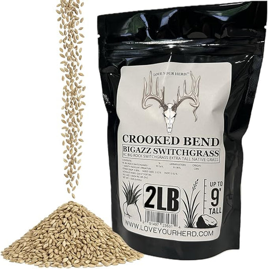 BigAzz Switchgrass Seed, Bulk RC Big Rock Variety, Extra Tall Drought-Tolerant Native Perennial Grass for Deer Habitat, Bedding Areas, Green Screens & Food Plots (2 pounds)