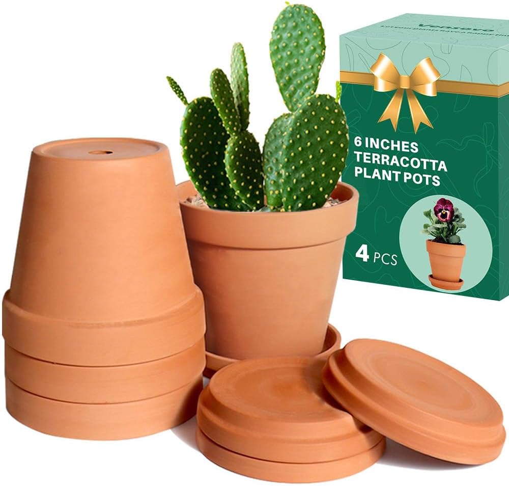vensovo 6 Inch Terracotta & Clay Pots for Plant with Saucer - 4 Pack Medium Terra Cotta Planter with Drainage Hole, Flowerpot for Indoor Outdoor Plants, Crafts, Wedding Favor