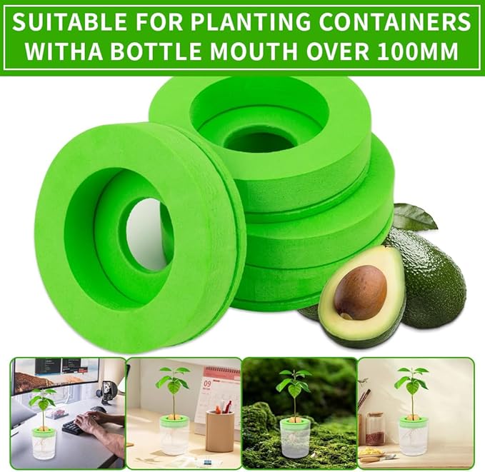 Avocado Tree Growing Kit, 4 Pack Green EVA Foam Avocado Growing O Ring, Plant Pot Plant Easy Seed Sprout Grow, Floating On Water, Seeds Growing Gifts for Family Friends and Gardening Enthusiasts
