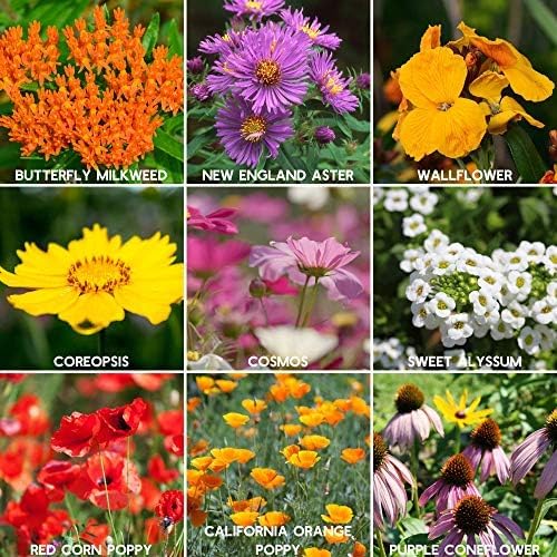 Save the Bees Wildflower Seed Shaker - ~100,000+ Wild Flower Seeds for Planting - Beautiful Easy to Sow Seed Shaker - 19 Varieties to Attract Bees & Other Pollinators - 3 oz. of Seed Covers ~370 sq ft