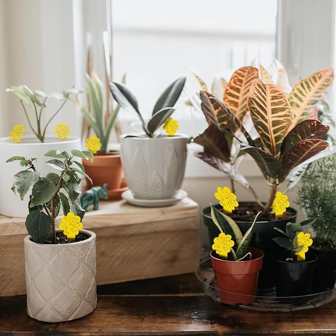 Flower-Shaped Yellow Sticky Traps, 36 Pack, Creative Sturdy Structure, No Touching Glue Or Bugs Design, Very Easy To Use, Gnat, Fruit Fly & Insect Killer, Kid & Pet Safe, For Plants, Gardens, Kitchens