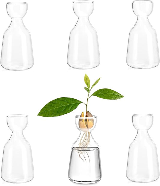 Glasseam Avocado Glass Bud Vase, Set of 6 Acorn Bulb Vase, Cute Clear Small Vases for Home Room Table Decor, Hydroponic Plant Propagation Jar for Flowers Stems Clippings