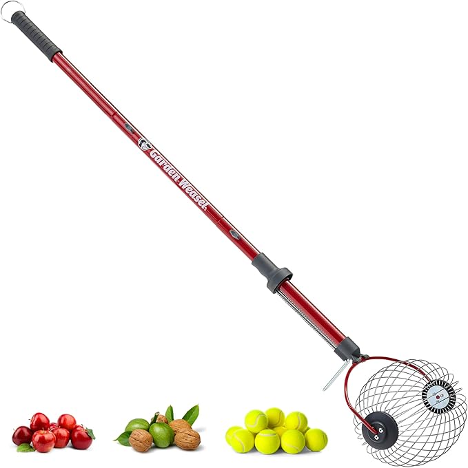 GARDEN WEASEL Large Nut Gatherer Roller – Nut Collector Tool for Walnuts, Sweet Gum Balls, Tennis Balls and More – Yard Picker Upper with Durable Cage and Ergonomic Handle - Newest Model