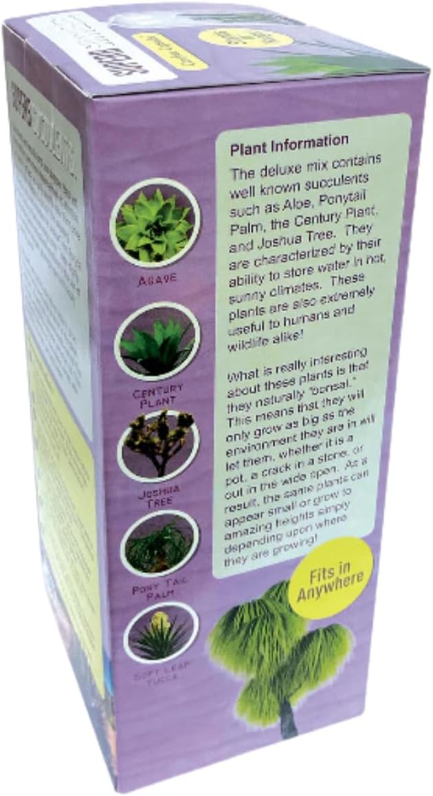 Create Your Stunning Succulent Oasis with Our Superb Succulent Terrarium Grow Starter Kit - Over 10 Varieties for Easy Indoor Gardening with Complete Supplies, Easy Growing Terrariums for Beginners