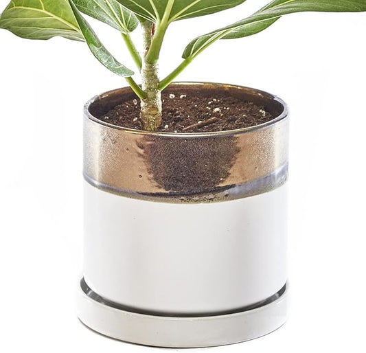 CHIVE ‘Minute’ Ceramic Planter Pot — Cute 5” Colorful Succulent Pots for Indoor & Outdoor House Plants — Beautiful Modern Farmhouse Kitchen Decor — Bronze and White