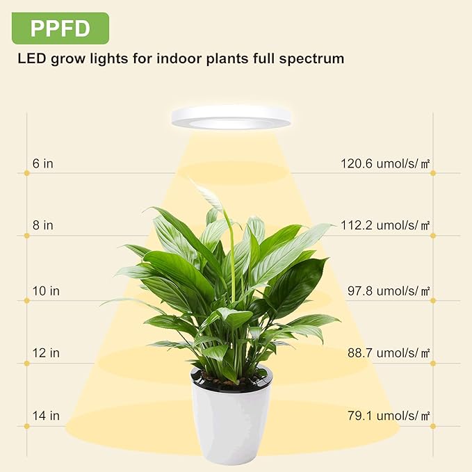 Full Spectrum Grow Light for Indoor Plants, 144 LEDs Halo Plant Light with Auto On/Off Timer (4/8/12H), 10-Level Brightness, 3 Lighting Modes, for Small Plants & Seedlings (White, Dual Head)