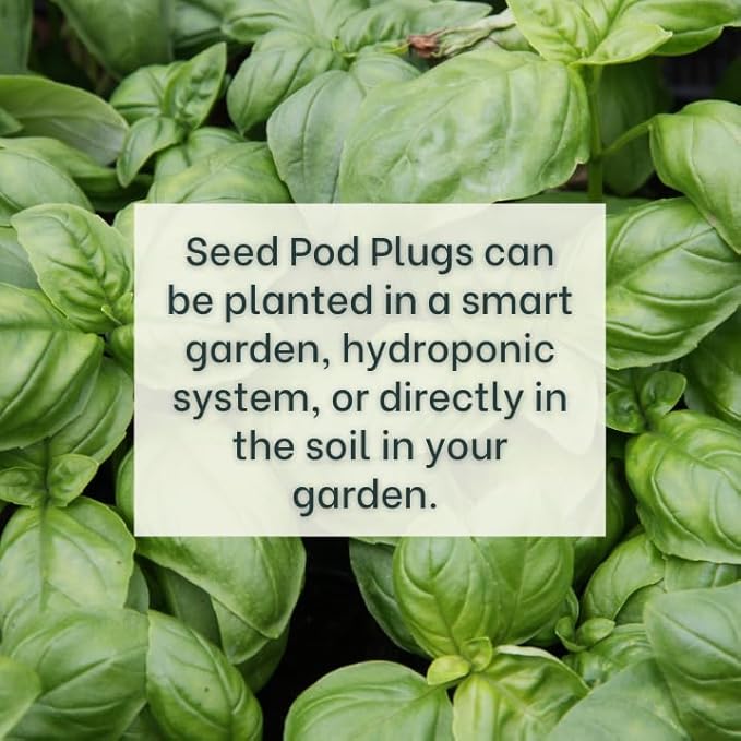 Genovese Basil - Complete Seed Pod Plugs with Plant Food - 10 Pods for Hyrdoponic Gardens, Click and Grow, Lettuce Grow and Outdoor Gardens