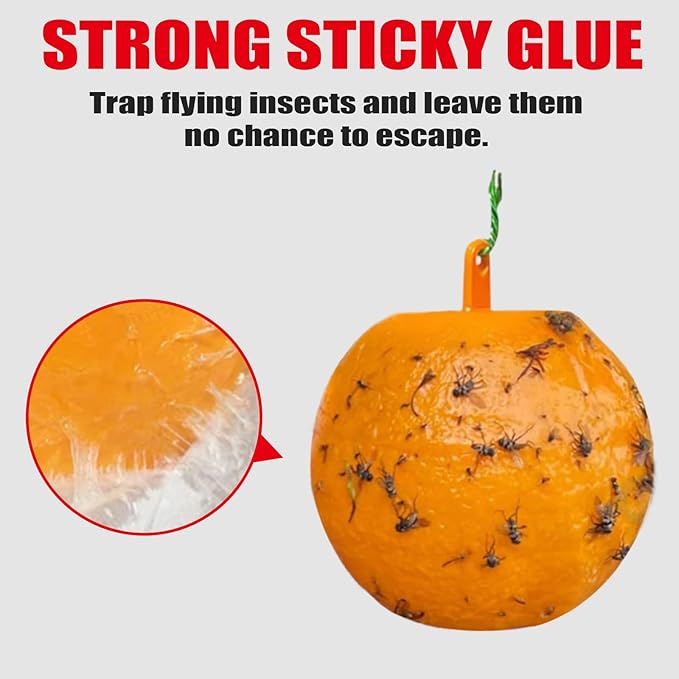 6 PCS Fruit Fly Traps Ball Fly Trap Outdoor, Hanging Bugs Sticky Ball Indoor, Gnat Trap Ball for House Plants Kitchen Drain Yard Garden (6PCS, Yellow)