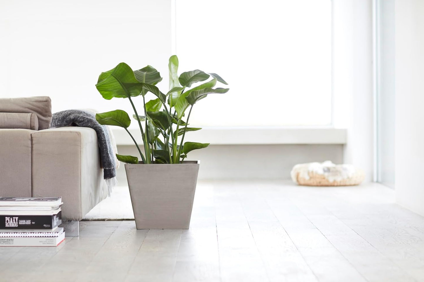 Ecopots Rotterdam Durable Modern Square Indoor/Outdoor Recycled-Based Composite Flower Planter, Taupe, 15.75"