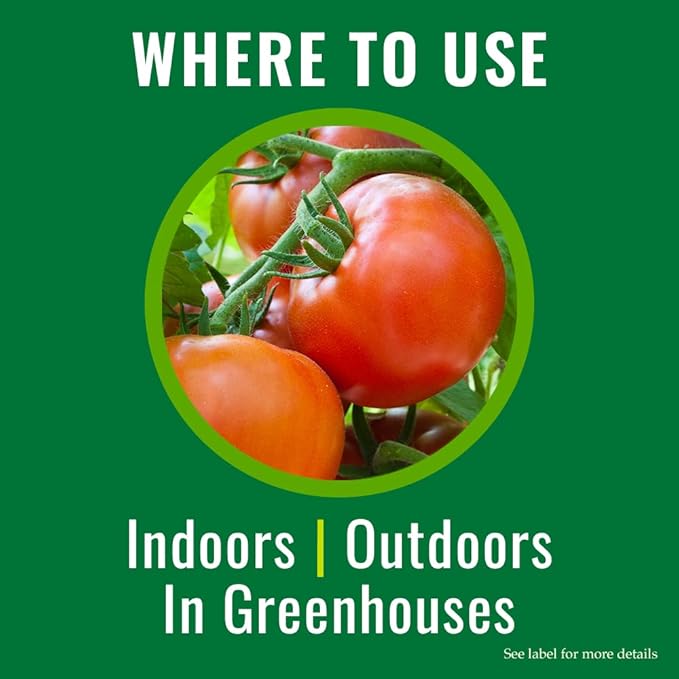 Natria Insecticidal Soap, Ready-to-Use Garden Bug Treatment, Insect Killer for Indoor and Outdoor Plants, 24 Ounce