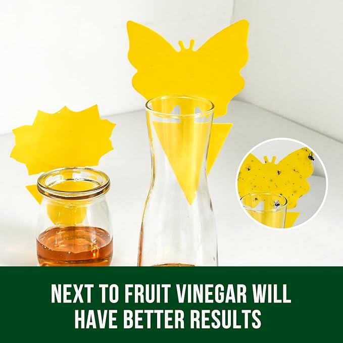 Garsum 36 Pack Fruit Fly Trap Yellow Sticky Fungus Gnat Killer for Indoor and Outdoor Plant Insect Catcher for White Flies,Mosquitos,Fungus Gnats,Flying Insects